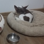 Photo from Petra’s gallery