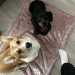 Fotka od hlídačky Zuzana 