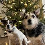 Fotka od hlídačky Blažena 