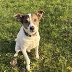 Fotka od hlídačky Blažena 