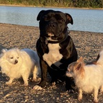 Fotka od hlídačky Blažena 