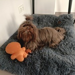 Photo from Elizabeth’s gallery