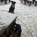 Fotka od hlídačky Kristýna 