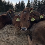 Fotka od hlídačky Kristýna 