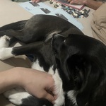 Fotka od hlídačky Kristýna 