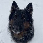 Fotka od hlídačky Kristýna 