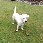 Fotka od hlídačky Nela 