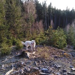 Fotka od hlídačky Nela 