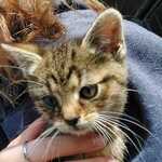 Fotka od hlídačky Nela 