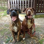 Fotka od hlídačky Denisa 