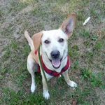 Fotka od hlídačky Denisa 