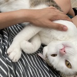 Fotka od hlídačky Petra 