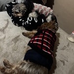 Photo from Jitka’s gallery