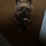 Photo from Jitka’s gallery