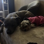 Photo from Jitka’s gallery