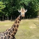 Photo from Sabina’s gallery