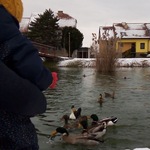 Photo from Sabina’s gallery