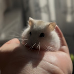 Fotka od hlídačky Vendula 