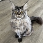 Fotka od hlídačky Kristýna 