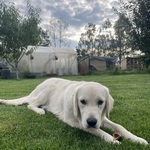 Fotka od hlídačky Kristýna 