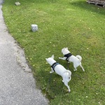 Fotka od hlídačky Kristýna 