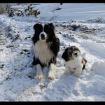 Photo from Karolína’s gallery