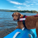 Photo from Tereza’s gallery