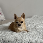 Photo from Tereza’s gallery