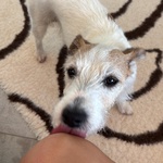 Photo from Tereza’s gallery