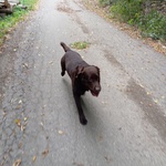 Fotka od hlídačky Dana 