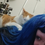 Photo from Petra’s gallery