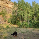 Photo from Petra’s gallery