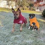 Fotka od hlídačky Zuzana 