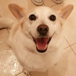 Fotka od hlídačky Simona 