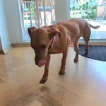 Fotka od hlídačky Simona 