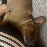 Photo from Nikoleta’s gallery