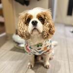 Fotka od hlídačky Barbora 