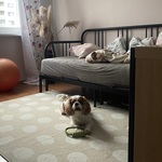 Fotka od hlídačky Barbora 