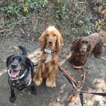 Fotka od hlídačky Petra 