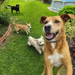 Fotka od hlídačky Petra 