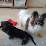 Photo from Jana’s gallery