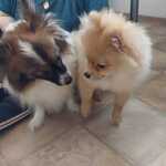 Photo from Jana’s gallery