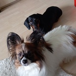 Photo from Jana’s gallery