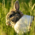 Fotka od hlídačky Vanessa 