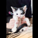 Fotka od hlídačky Vanessa 