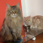 Photo from Tereza’s gallery