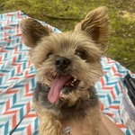 Photo from Tereza’s gallery