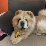 Photo from Tereza’s gallery