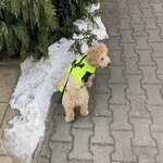 Photo from Sabina’s gallery