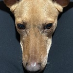 Photo from Eva’s gallery